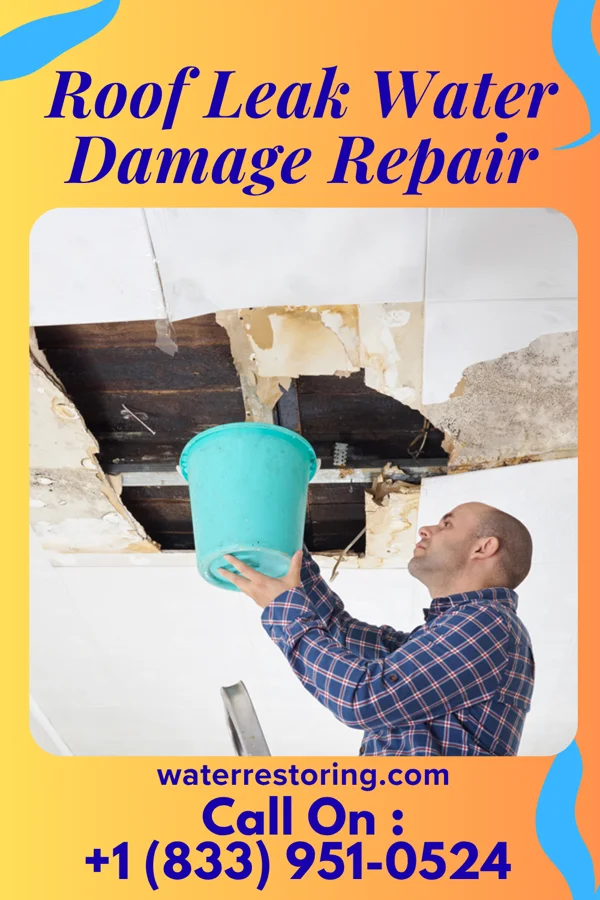 Roof Leak Water Damage Repair in Hollandale, WI