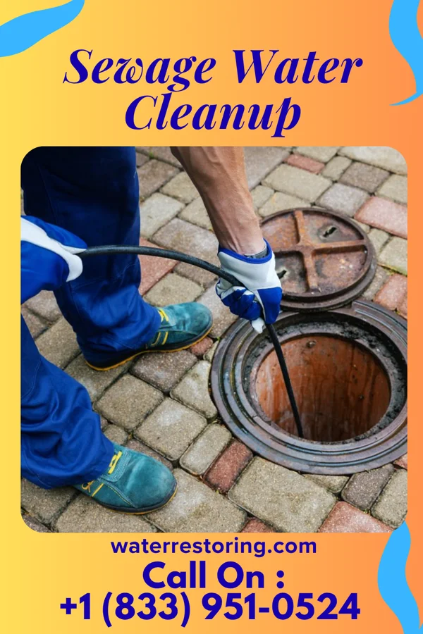 Sewage Water Cleanup in Hollandale, WI